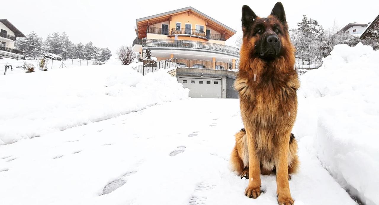 Affittacamere Dolce Sogno Coredo Exteriör bild