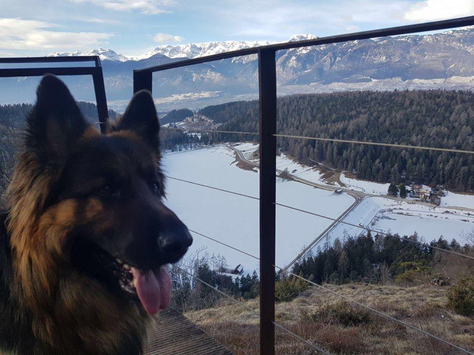 Affittacamere Dolce Sogno Coredo Exteriör bild