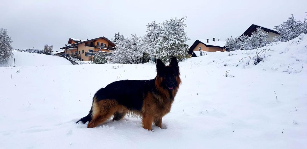 Affittacamere Dolce Sogno Coredo Exteriör bild